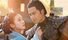 穿越当王妃的电视剧,宫廷情缘之王妃逆袭记