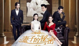 电视剧妻子的秘密简介,揭秘婚姻背后的真相与抉择