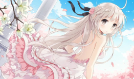 性感动漫美女图片,动漫美女图鉴